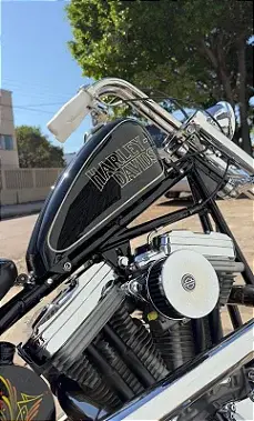 Alongadores de Bengalas para Sportster - Imagem 4